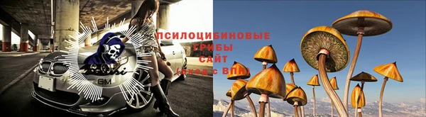марихуана Елабуга