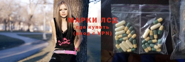 ГАЛЛЮЦИНОГЕННЫЕ ГРИБЫ Алзамай