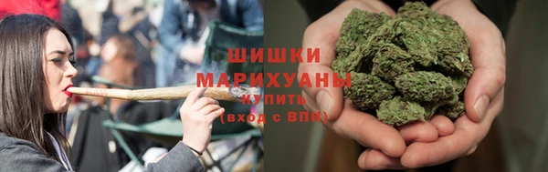 ГАЛЛЮЦИНОГЕННЫЕ ГРИБЫ Алзамай