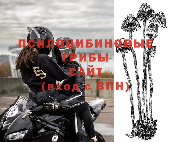 ГАЛЛЮЦИНОГЕННЫЕ ГРИБЫ Алзамай