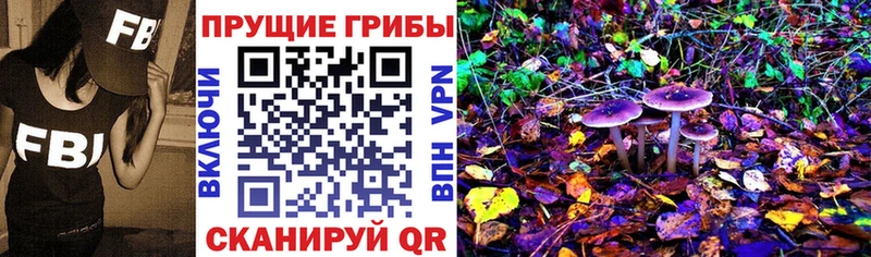 Псилоцибиновые грибы Cubensis  наркота  Златоуст 